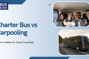 Charter Bus vs Carpooling