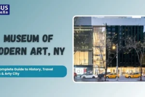 Museum of Modern Art, NY A Complete Guide to History, Travel Tips & Art