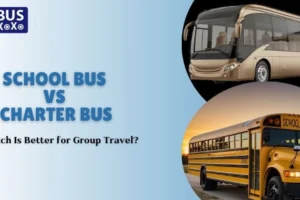 School Bus vs Charter Bus