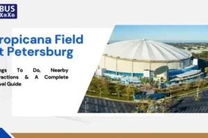 Tropicana Field St Petersburg: Things To Do, Nearby Attractions & A Complete Travel Guide