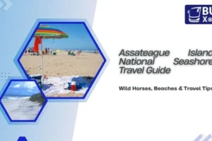 Assateague Island National Seashore