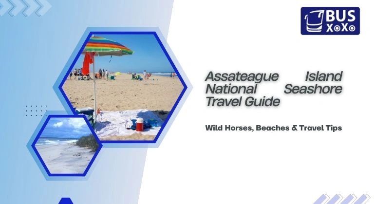 Assateague Island National Seashore