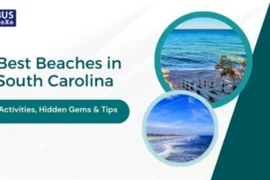 Best Beaches in South Carolina