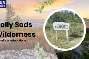 Dolly Sods Wilderness