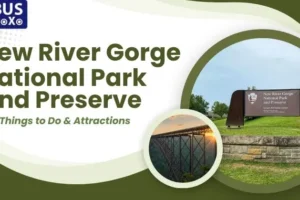 New River Gorge National Park and Preserve