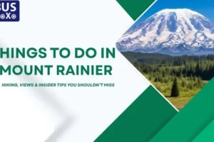 Things to Do in Mount Rainier
