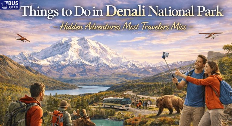 Things to Do in Denali National Park: Hidden Adventures Most Travelers Miss
