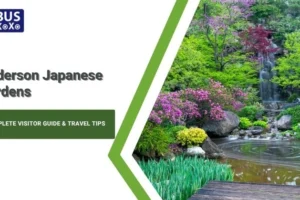 Anderson Japanese Gardens Complete Visitor Guide & Travel Tips