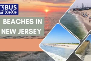 Beaches in New Jersey