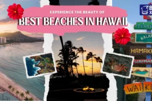Best Beaches in Hawaii for Swimming, Surfing & Relaxation