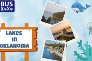 Best Lakes in Oklahoma for Outdoor Adventures