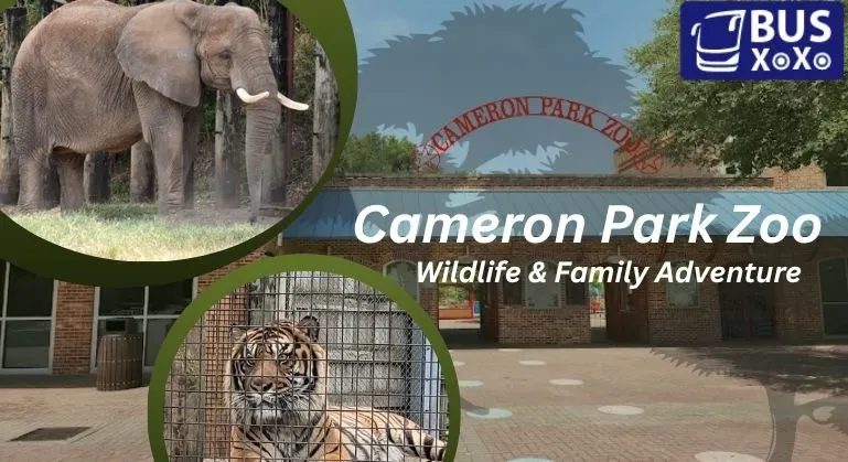 Cameron Park Zoo Waco: Wildlife & Family Adventure