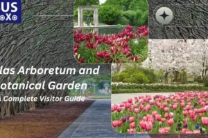 Dallas Arboretum and Botanical Garden: A Complete Visitor Guide