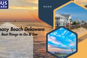 Explore Bethany Beach Delaware