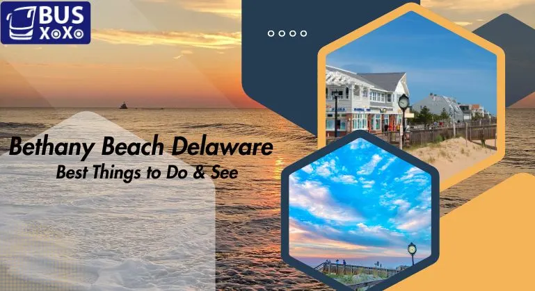 Explore Bethany Beach Delaware