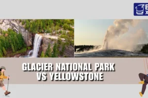 Glacier National Park vs Yellowstone