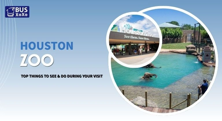 Houston-Zoo
