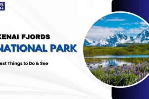 Kenai Fjords National Park Best Things to Do & See