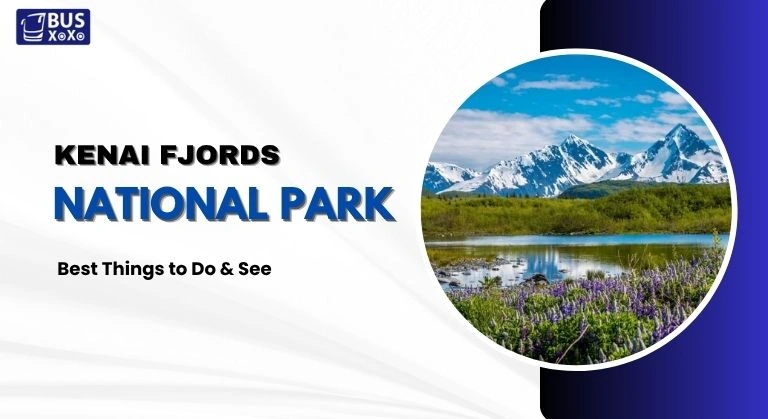 Kenai Fjords National Park Best Things to Do & See