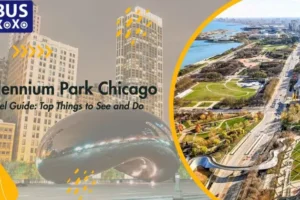 Millennium-Park-Chicago