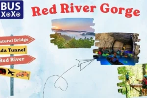 Red River Gorge Travel Guide