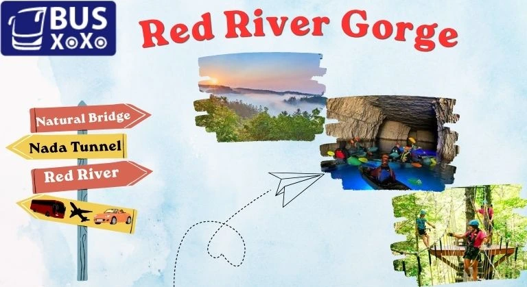 Red River Gorge Travel Guide