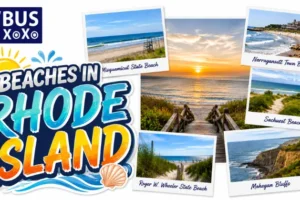 Top Beaches in Rhode Island You Must Visit This Summer