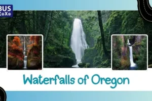 Waterfalls Of Oregon: The Ultimate Scenic Road Trip Guide