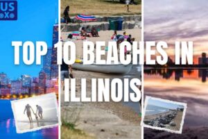 10 Best Beaches in Illinois for Summer Fun & Relaxation