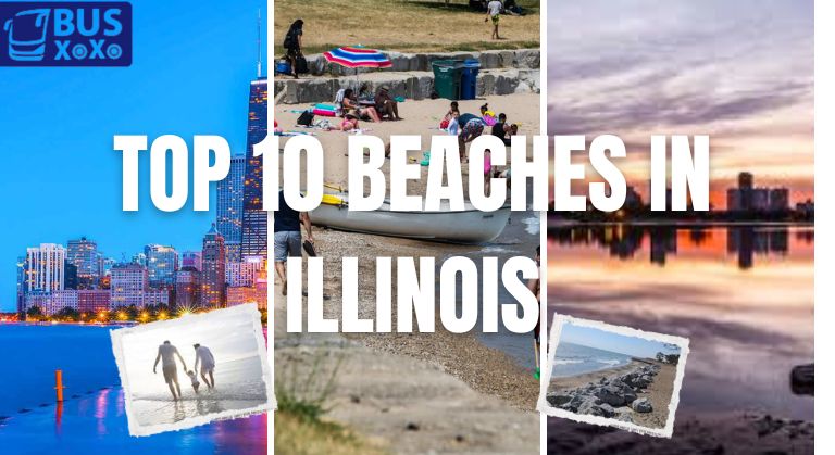 10 Best Beaches in Illinois for Summer Fun & Relaxation