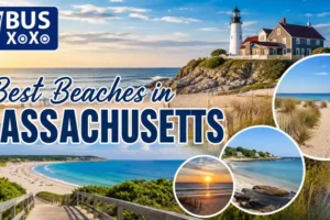 Best Beaches in Massachusetts