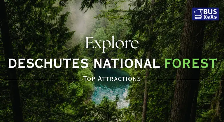 Explore Deschutes National Forest: Top Attractions