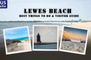 Explore Lewes Beach