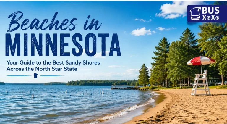 Beaches in Minnesota