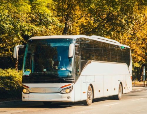 Book Your 40-50 Passenger Charter Bus Today