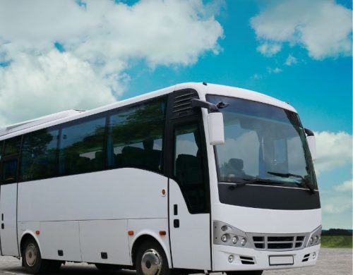 Reserve Your Mini Coach Bus