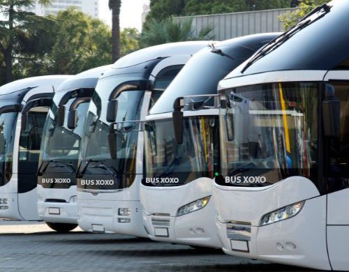 Why-Choose-Our-Colorado-Charter-Bus-Services1