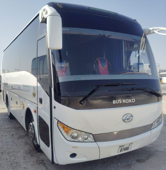 BUS-XOXO
