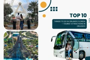 Top 10 things to do in ornaldo,florida blog image