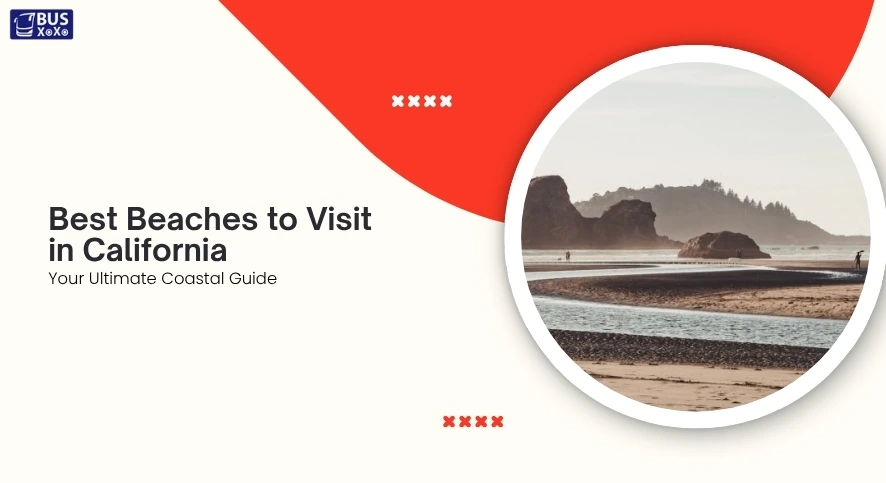Best beaches to visit in California blog image