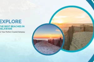 Explore the best beaches in delaware blog image