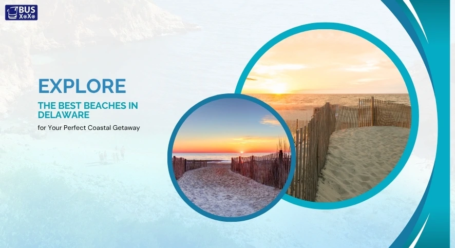 Explore the best beaches in delaware blog image