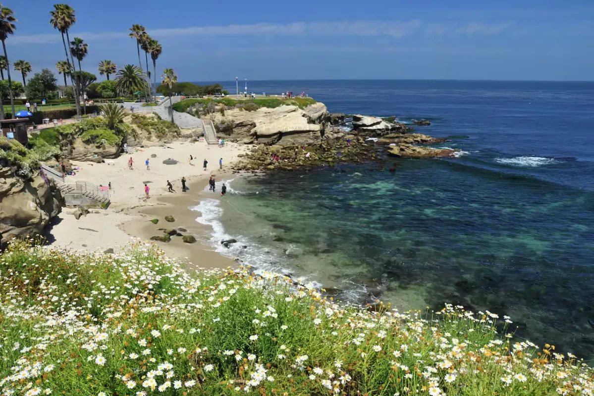 La Jolla Cove
