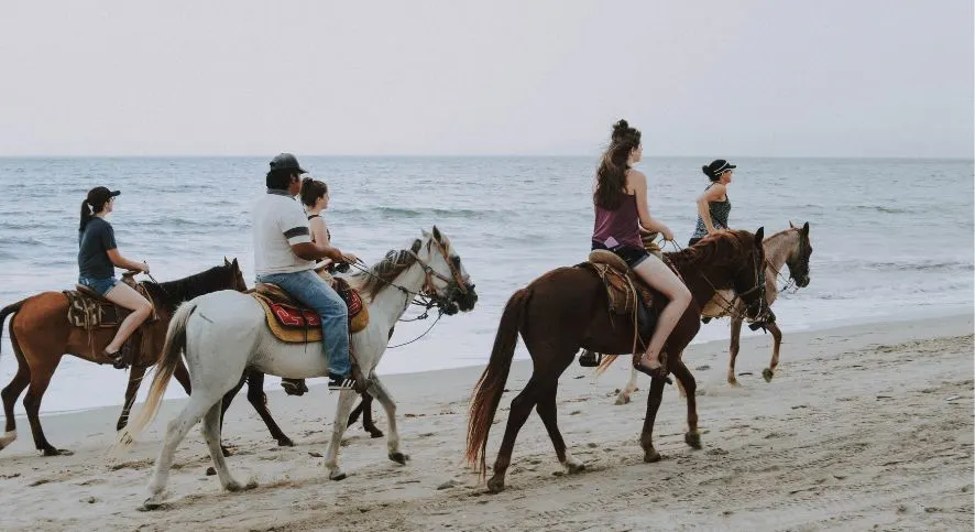 Horseback Riding
