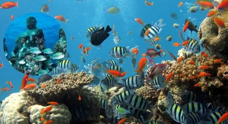 The Underwater Museum of Art