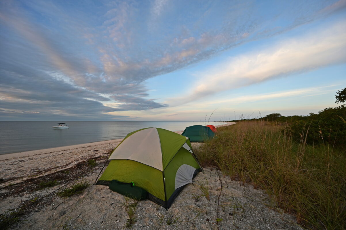 Everglades National Park, Florida 