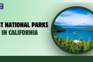 Best National Parks in California