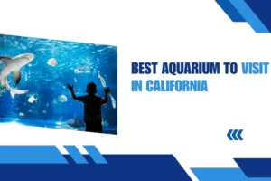 Best aquarium to visit in california