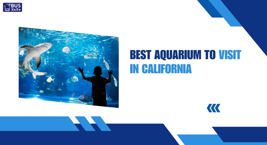 Best aquarium to visit in california