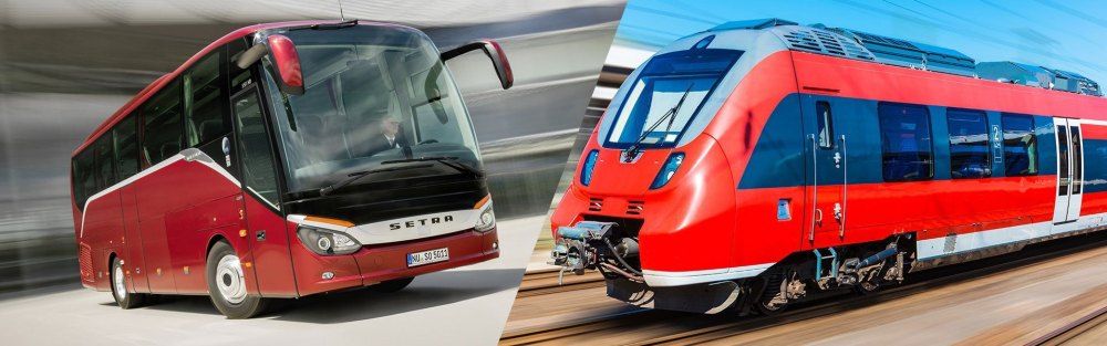 Train vs Bus